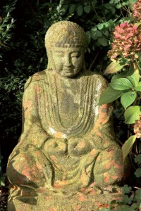 Buddha